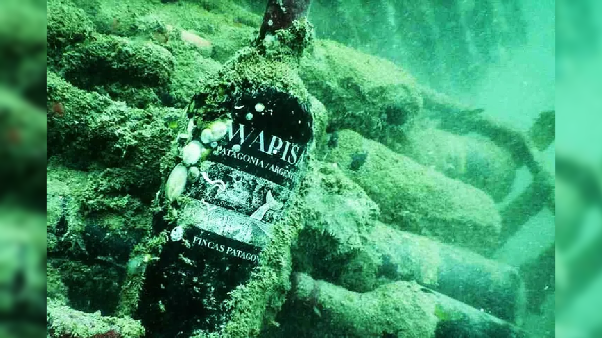 La cava submarina está ubicada en el Golfo San Matías.&nbsp;