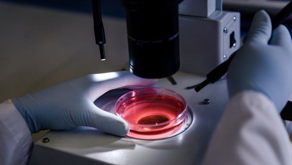 Avances científicos y una esperanza en el pronóstico de la leucemia más frecuente