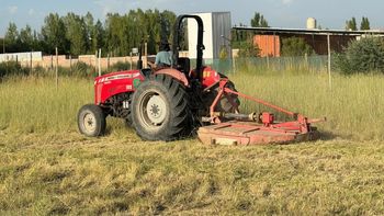 ultimatum: duenos limpian baldios y veredas o lo hace el municipio, pero cobra con multa ultimatum: duenos limpian baldios y veredas o lo hace el municipio, pero cobra con multa