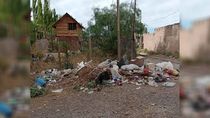 Los vecinos de Ferri esperan que se elimine la basura arrojada en cualquier parte. Las plagas hacen de las suyas. Foto: gentileza.