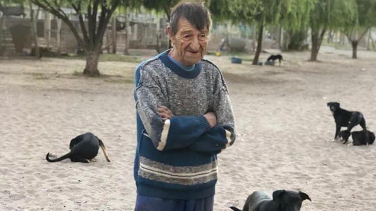 Preocupa el estado de los más de 500 perros del refugio