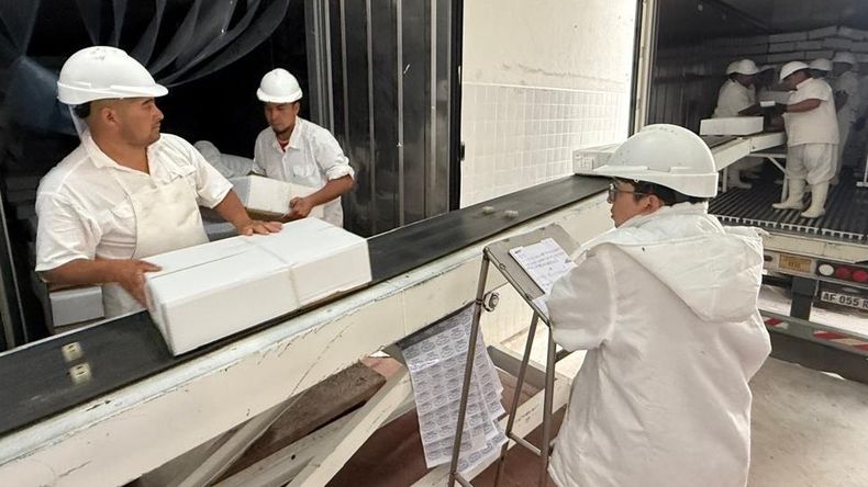 Primer envío de carne ovina Halal a países árabes. 9.000 animales faenados proyectados. Esfuerzo de la Cooperativa J.J. Gómez. Foto: Fabricio González | LMCipolletti.com Primer envío de carne ovina Halal a países árabes. 9.000 animales faenados proyectados. Esfuerzo de la Cooperativa J.J. Gómez. Foto: Fabricio González