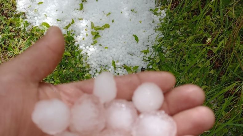 La cosecha de cereza se podría reducir un 50% luego de la tormenta de granizo