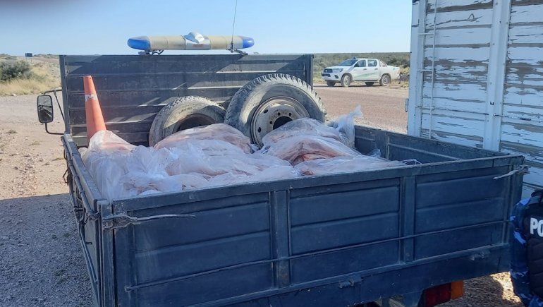 Lo atraparon transportando cerca de 2 mil kilos de carne ilegal