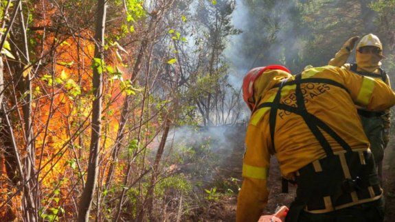 Polémica por la ayuda  del Splif en la Amazonia