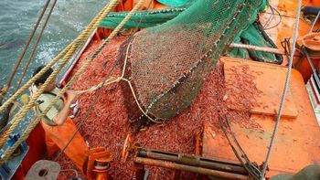En Río Negro, la pesca también está sufriendo los problemas de rentabilidad.