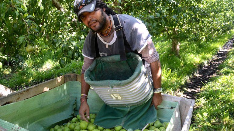Los productores aseguran que los galpones no les pagan nunca la cifra que les prometen al recibir la fruta.