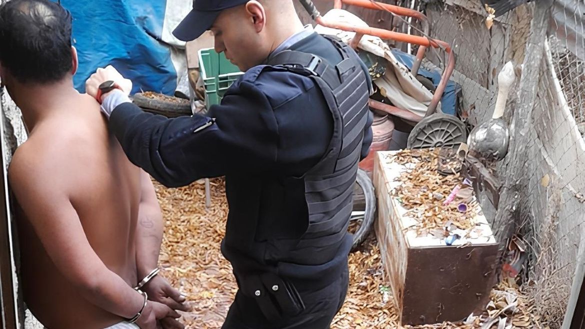 El detenido por agredir a un vecino con un bastón extensible fue detenido en un domicilio de Fernández Oro. Había intentado escapar semidesnudo. | LMCipolletti.com El detenido por agredir a un vecino con un bastón extensible fue detenido en un domicilio de Fernández Oro. Había intentado escapar semidesnudo.