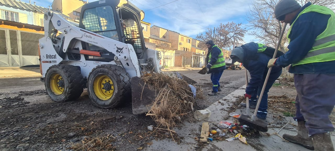 arranco con todo el cipo limpia 2024: los detalles