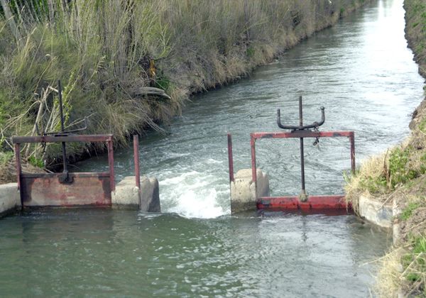 Caída en el nivel de pago del riego
