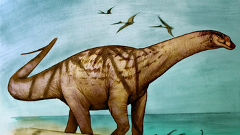 un dino gigante del alto valle era muy cercano a las aves