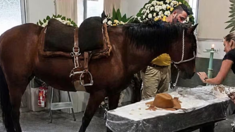 &nbsp;Nina y el tío Pedro: la historia detrás de la yegua que lloró a su dueño en Brasil y se volvió viral