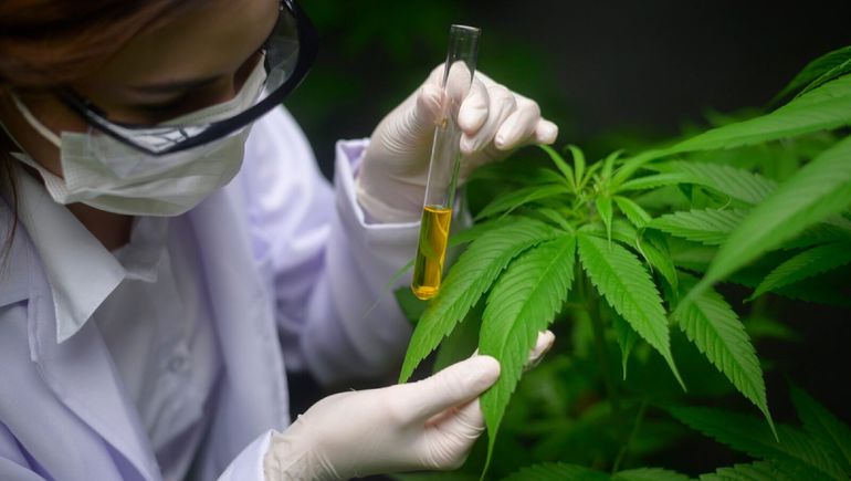 Cannabis medicinal y nueva reglamentación: quiénes podrán inscribirse al Reprocann