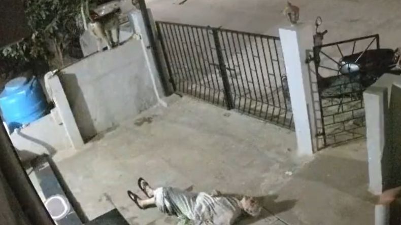 El mono atacó de manera imprevista a la anciana en el patio de la casa de la víctima. | LMCipolletti.com El mono atacó de manera imprevista a la anciana en el patio de la casa de la víctima.