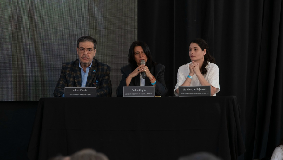 La audiencia pública por el proyecto de GNL se realizó en San Antonio.