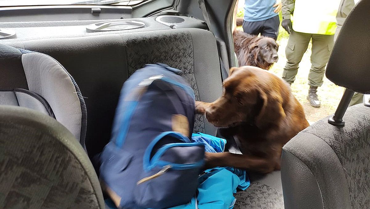 Una perra los atrapó queriendo entrar éxtasis a Villa Mascardi
