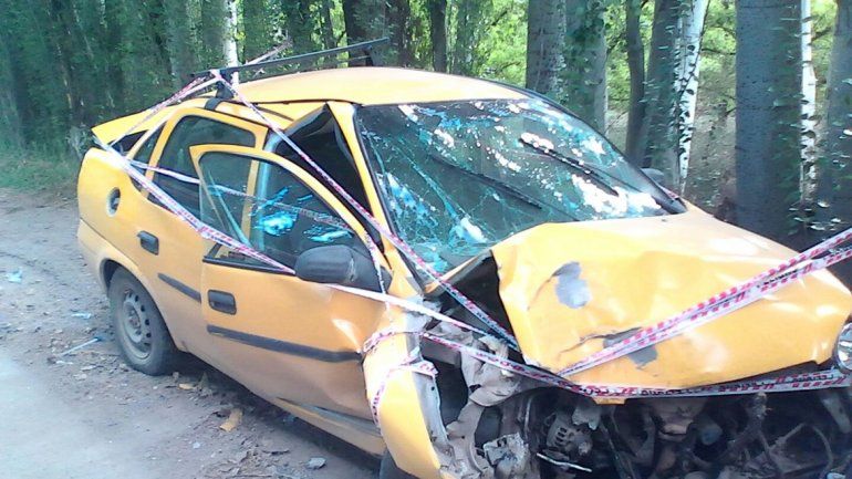 Se llevó puestos varios álamos y dejó el auto abandonado
