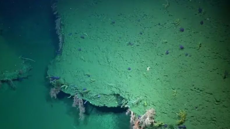 ¿Un fantasma en las transmisiones del CONICET bajo el mar? Las sorprendentes imágenes