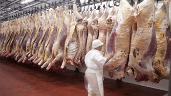 La cuota de 6.050 toneladas de carne vacuna enfriada destinada al mercado europeo ya habría sido cubierta. Los nuevos certificados deberán esperar la liberación de volumen no utilizado.
