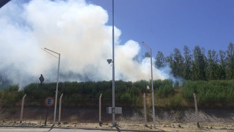 Susto por un incendio de pastizales cerca del puente carretero