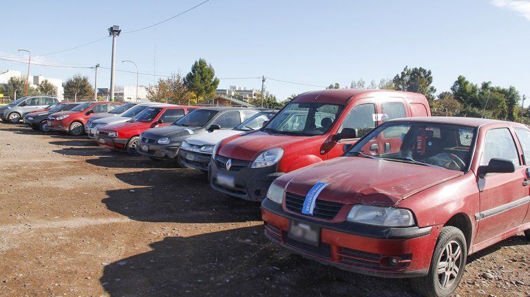 Infractores podrán pagar elevadísimas multas con trabajo comunitario