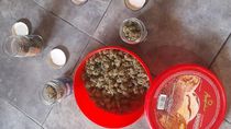 La marihuana secuestrada en la vivienda del barrioi 10 de Febrero allanada este lunes. 