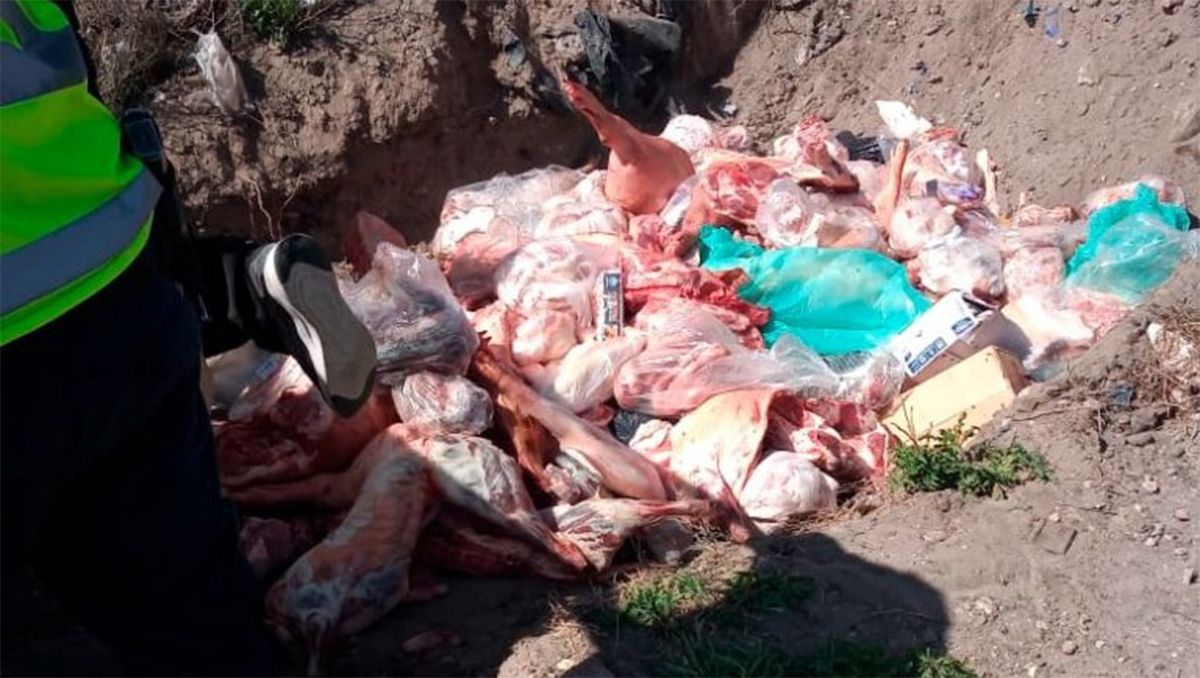 Comercios de Río Colorado vendían carne ilegal