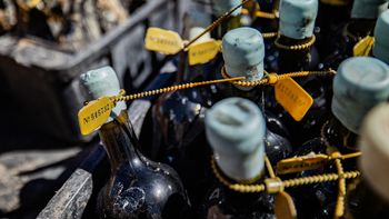 Premiurización: Las botellas sumergidas pueden multiplicar hasta por cinco su valor de mercado. | LMCipolletti.com Premiurización: Las botellas sumergidas pueden multiplicar hasta por cinco su valor de mercado.