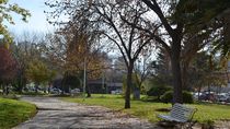 ¿el viento arruina el domingo? detalles del pronostico para el alto valle