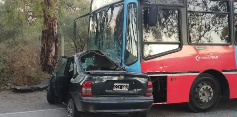 Quiso esquivar un perro, chocó contra un colectivo y murió