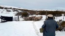 Maquinchao, la capital nacional de la lana, sorprendió al país por sus bajas temperaturas.