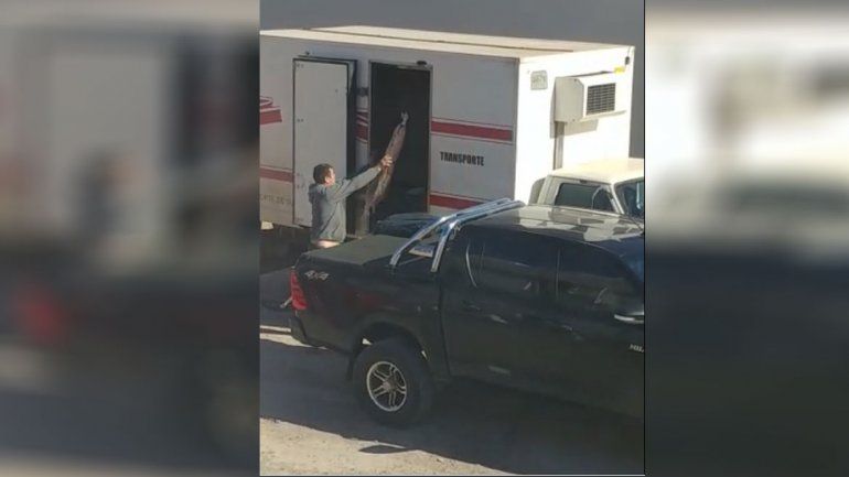 Bajo la lupa: parrillero de la región fue escrachado en un video