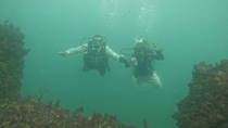 José y Fernanda, son de la provincia de Buenos Aires y eligieron Las Grutas para sellar su amor bajo el agua.