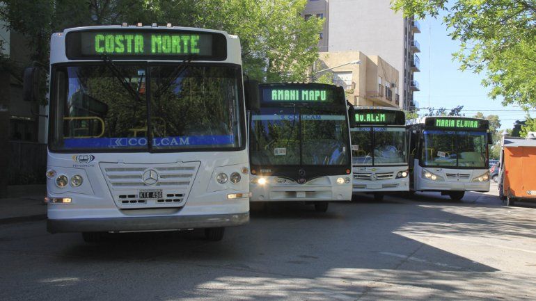 Los nuevos colectivos fueron presentados en sociedad el lunes.&nbsp;