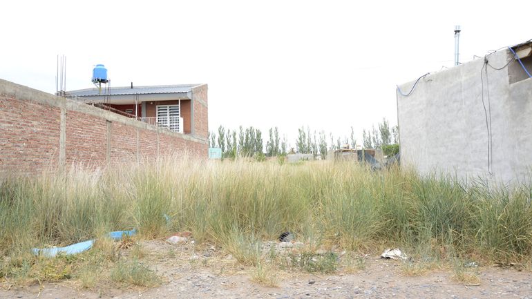 Las multas, para un terreno tipo, pueden ascender los $3 millones. Las multas, para un terreno tipo, pueden ascender los $3 millones.