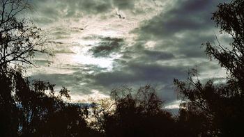 El tiempo: se esperan lluvias en Cipolletti para este lunes