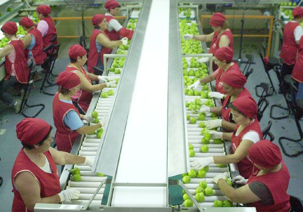 Paritaria del empaque a cuarto intermedio