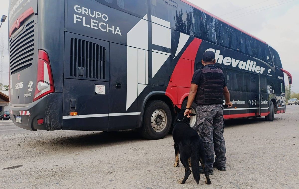 El mega operativo simultáneo se desarrolló en General Roca y Allen.&nbsp;