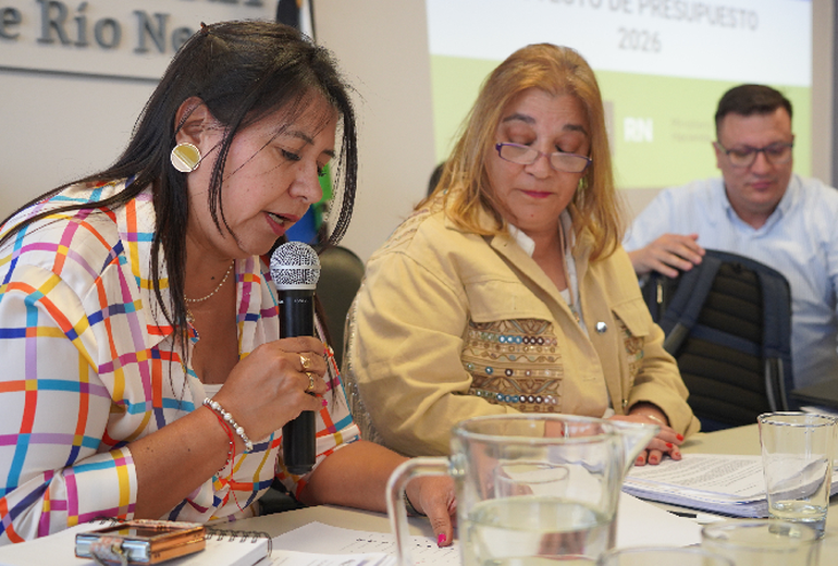 La iniciativa fue presentada por la legisladora Yolanda Mansilla (Primero Río Negro).