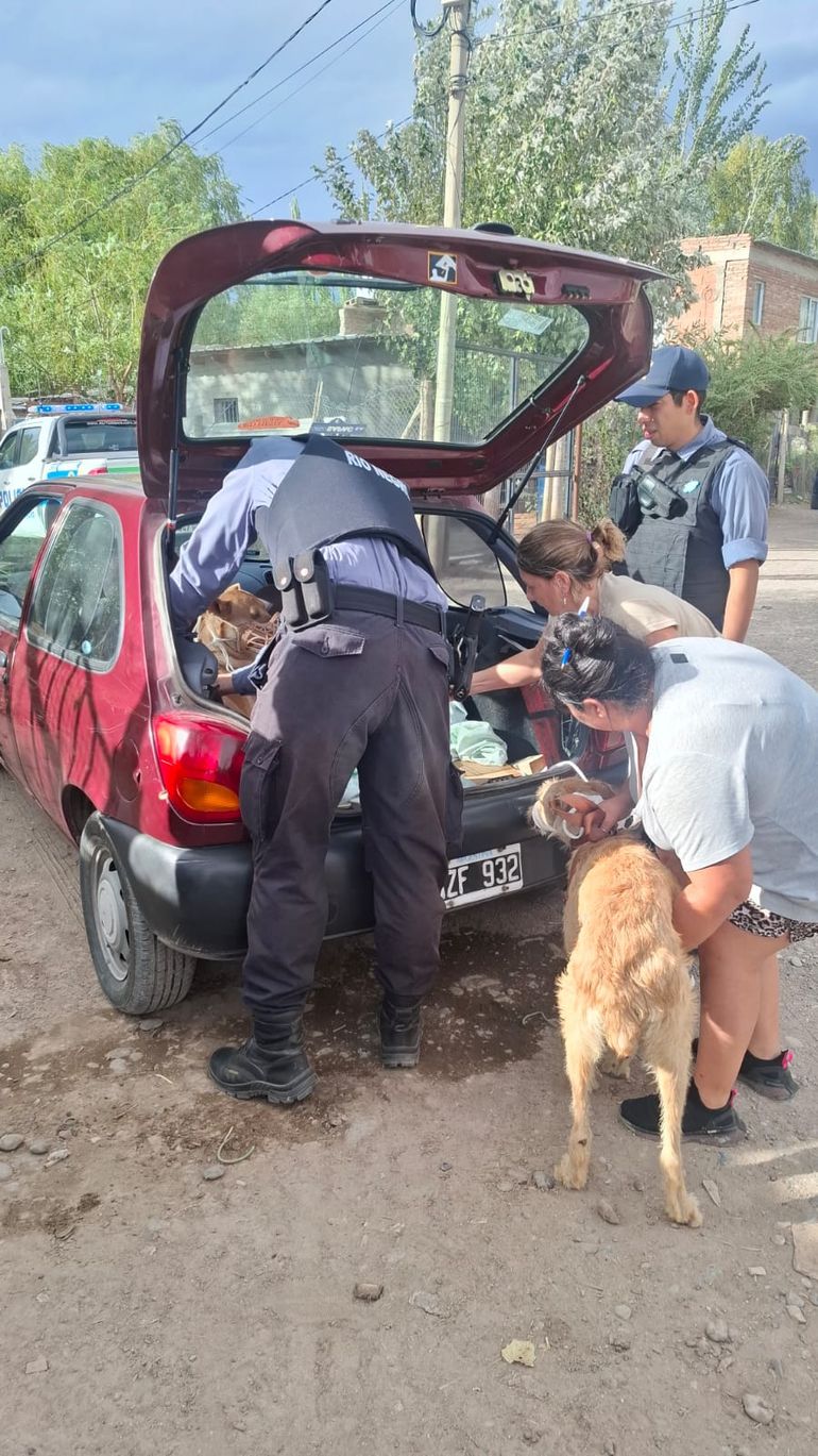 FUNPABIA participa activamente en cada operativo.