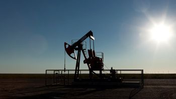 El Medanito: crece la presión en 25 de Mayo por la falta de definiciones sobre el área. | LMCipolletti.com El Medanito: crece la presión en 25 de Mayo por la falta de definiciones sobre el área.