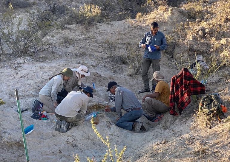 El descubrimiento se registró en 25 de Mayo
