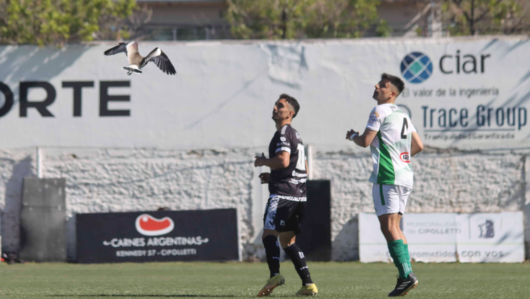 El tero sale volando durante el primer tiempo del partido entre Cipolletti y Germinal. Fotos: Anahí Cárdena