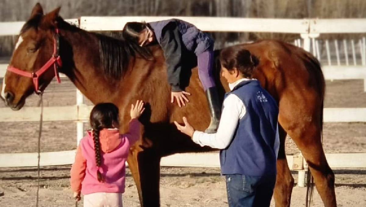 Alma equina