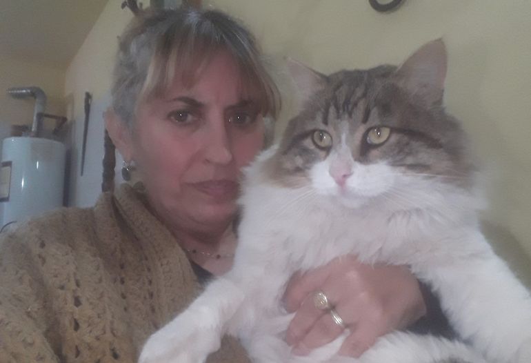Adoptó un gato bebé y no para de crecer