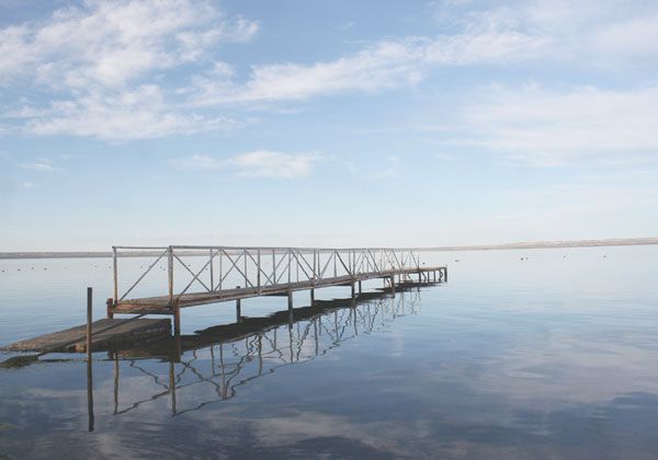 Cinco Saltos, ciudad turística