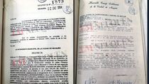 la historia de la excepcion municipal que dio vida a las palmas