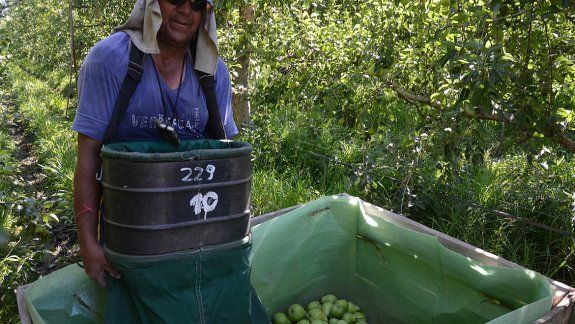 Productores buscan bajar el costo del protocolo por Covid