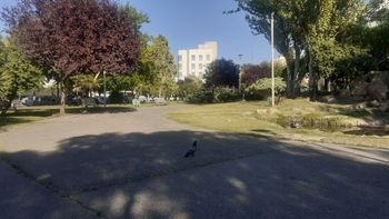martes frio en el alto valle: dia por dia, como sigue el viento durante la semana