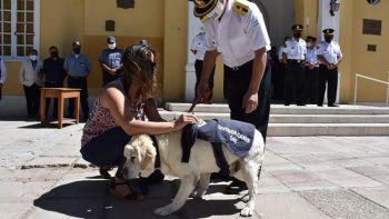familias podran adoptar a los perros que se jubilan de la policia